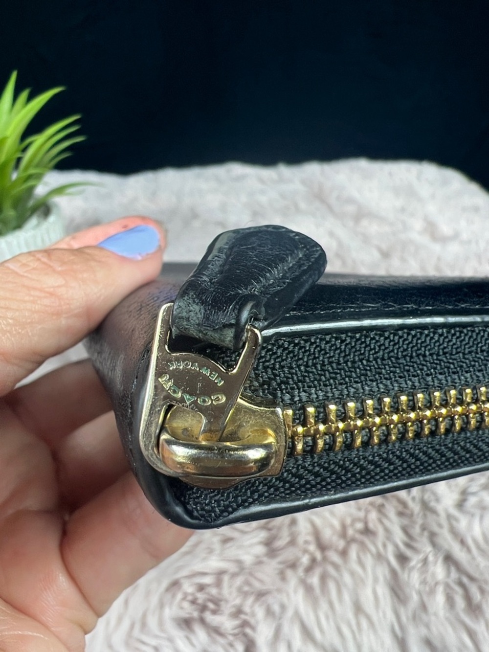 COACH Black Polished Pebble Leather Accordion Zip Around Wallet - EUC - Picture 6 of 9